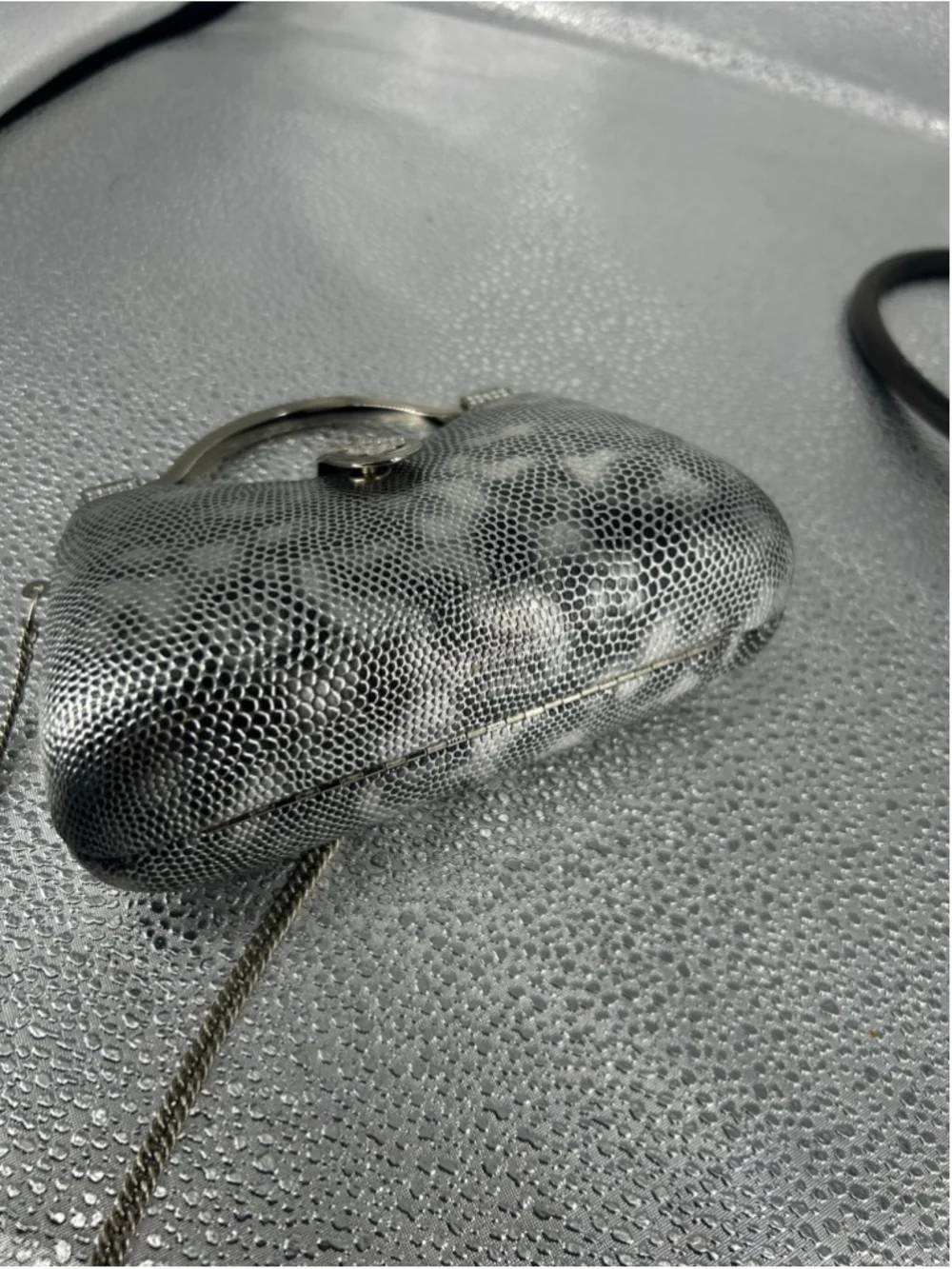 Silver & Black Snake Print Clutch One Size